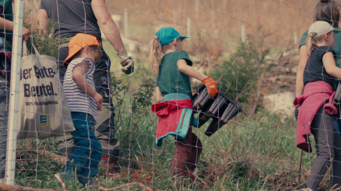 🎥 project work: plant a tree 🌲